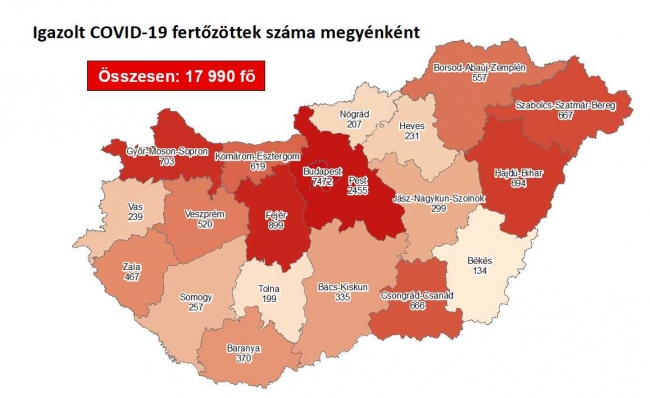 hírkép