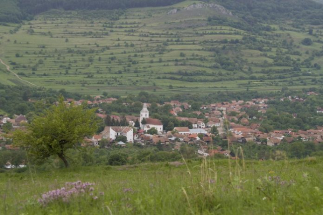hírkép