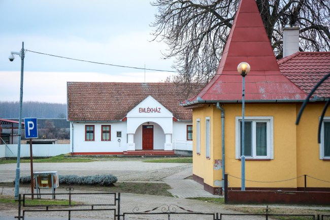 Húsevő növény is él egy alföldi településen